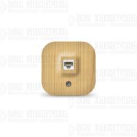 Розетка компьютерная ОП IP20 сосна IONICH 1443
