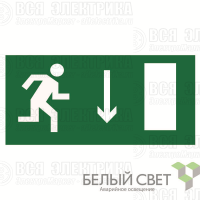 Знак безопасности NPU-3015.E09"Указ. двери эвакуац. выхода (прав.)" Белый свет a25509
