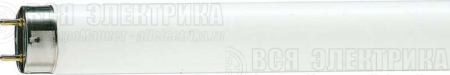 Лампа люминесцентная TL-D 18W/33-640 18Вт T8 4100К G13 PHILIPS 928048003351