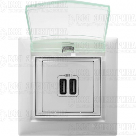 Розетка USB 2-м СП Valena бел. Leg 770470