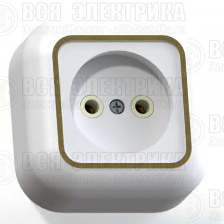 Розетка 1-м ОП Валентина РА10-266 10А IP20 бел./зол. Кунцево 7639