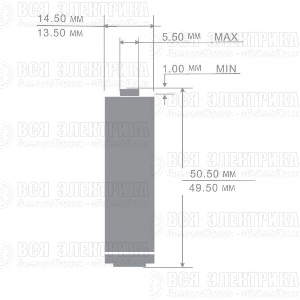Аккумулятор AA/R6 1000мА.ч NI-CD BP-2 металлик (блист.2шт) Camelion 6181