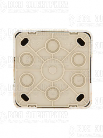 Розетка компьютерная 1-м ОП Viola RJ45 беленый дуб LEZARD 751-5200-139