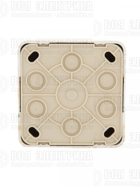 Розетка компьютерная 1-м ОП Viola RJ45 беленый дуб LEZARD 751-5200-139