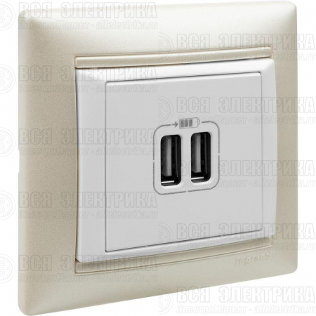 Розетка USB 2-м СП Valena бел. Leg 770470