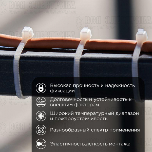 Хомут кабельный 2.5х150 нейл. бел. (уп.100шт) Rexant 07-0150