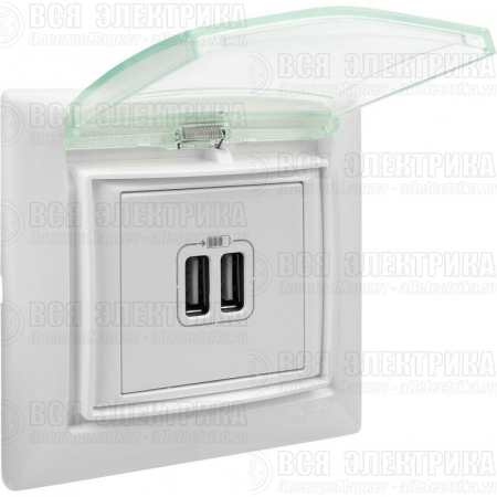 Розетка USB 2-м СП Valena бел. Leg 770470