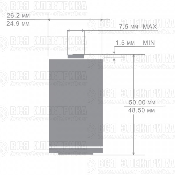 Аккумулятор C Ni-MH 1.2В 3500мА.ч NH-C3500BP2 BL-2 металлик (блист.2шт) Camelion 6184
