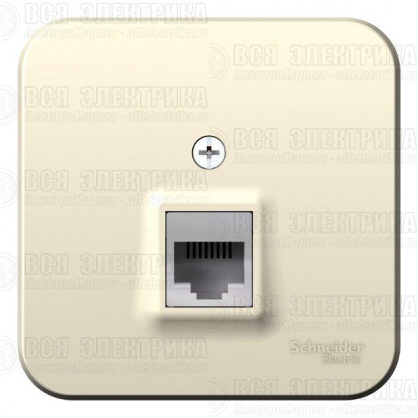 Розетка компьютерная 1-м ОП Blanca RJ45 кат.5E с изолир. пластиной молочн. SE BLNIA045002