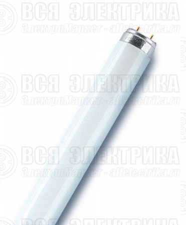 Лампа люминесцентная L 36W/830 LUMILUX 36Вт T8 3000К G13 смол. OSRAM 4058075692954